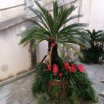 25 novembre contro la violenza sulle donne