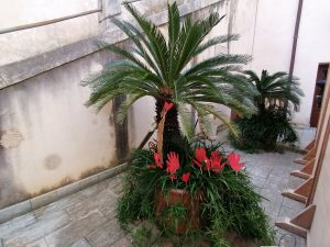 25 novembre contro la violenza sulle donne