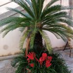 25 novembre contro la violenza sulle donne