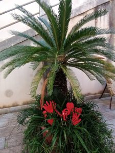 25 novembre contro la violenza sulle donne