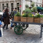 Stage londra-Mercato fiori