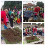 Giornata dell albero23-