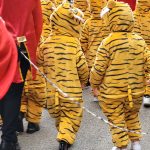 Carnevale the greatest - Tigrotti